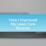 How I Improved My Lawn Care Routine