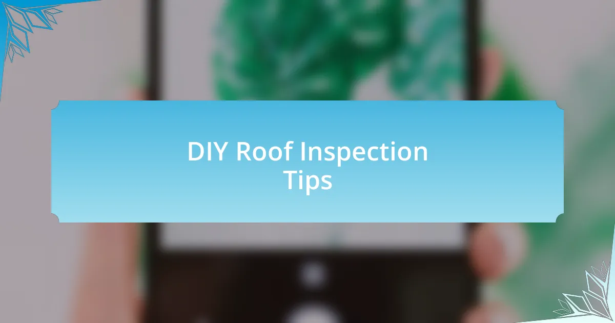 DIY Roof Inspection Tips