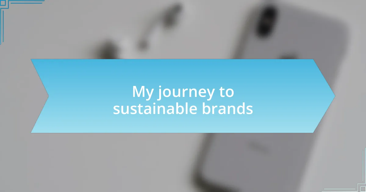 My journey to sustainable brands